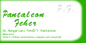 pantaleon feher business card